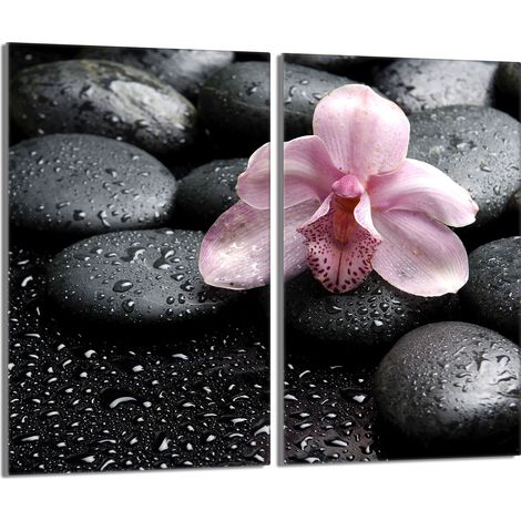 Placa protectora de vidrio para la estufa 2x30x52 Orchidea (1/5)