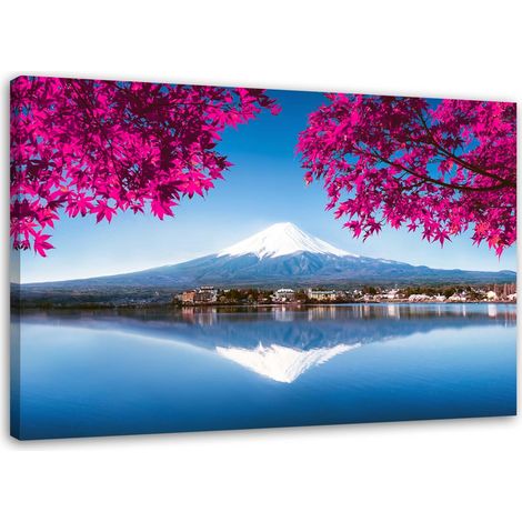 Cadre déco montagne Fuji lac feuilles roses 60x40 (1/5)