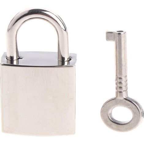 Kleines quadratisches Vorhängeschloss mit Schlüssel, Mini-Metallschloss für Tasche, Koffer, Tagebuch, Schmuckschatulle, silber/gold