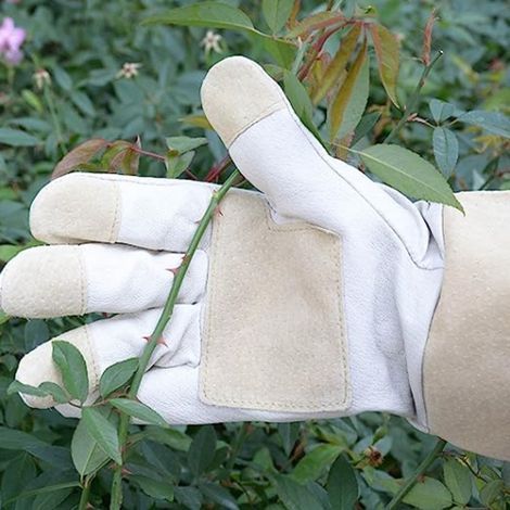 Gants de jardinage longs en cuir de porc résistants et anti-perforation (taille M) deng ALOVEZ (1/4)