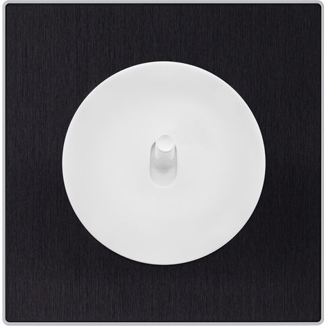 Commande volet roulant blanc - manette blanc glossy DOM + plaque simple métallisé anthracite (1/5)