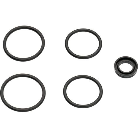 Jeu de joints pour accouplements de sécurité 9000-01/5 (1/4)
