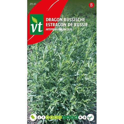 Estragon Russe - Ca. 0,5 gr (Livraison Gratuite) (1/2)
