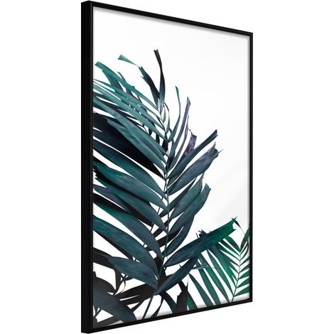 Affiche Murale Encadrée "Evergreen Palm Leaves" 40 x 60 cm Noir