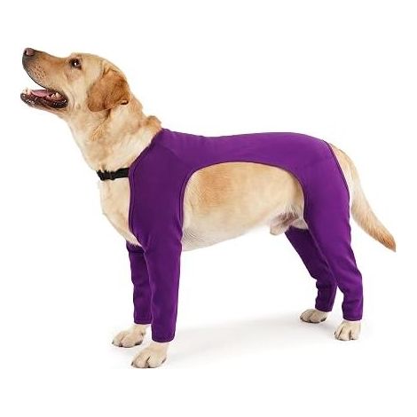 Körperliche Kompressionsbekleidung für Hunde nach Operationen – Schutzhülle für die Pfoten nach der Operation (Lila, XL) (1/3)
