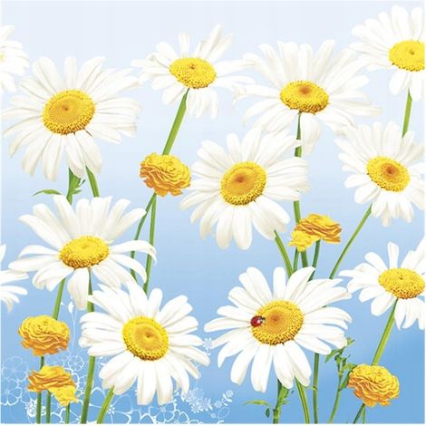 Serviettes en papier FLEURS DE PRINTEMPS Marguerites des prés Anniversaire 33x33cm 20 pièces.
