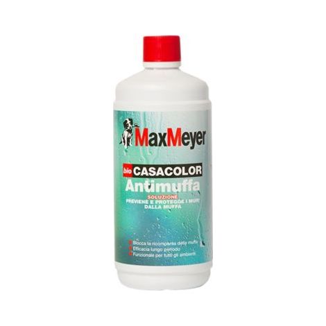 BIOCASACOLOR SOLUZIONE ANTIMUFFA LT 1