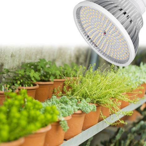 Lampe horticole à spectre complet 22 W, culot E27, 200 LED haute puissance, pour la croissance des plantes. (1/5)