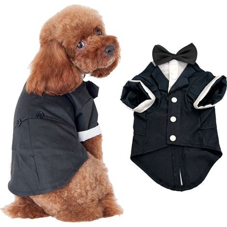 Costume/cappotto per cani, nero, taglia XXL (1/5)