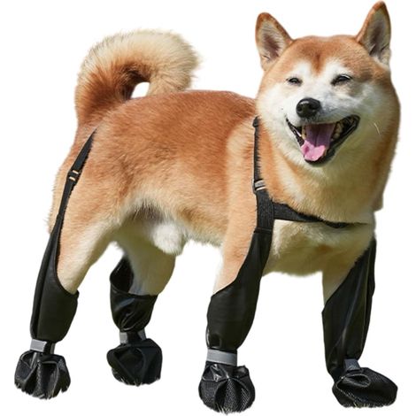 Dog rain boots - Waterproof - With straps and anti-slip soles - For medium and large dogs - Reflective - For hiking, rain and snow days (black C, S)