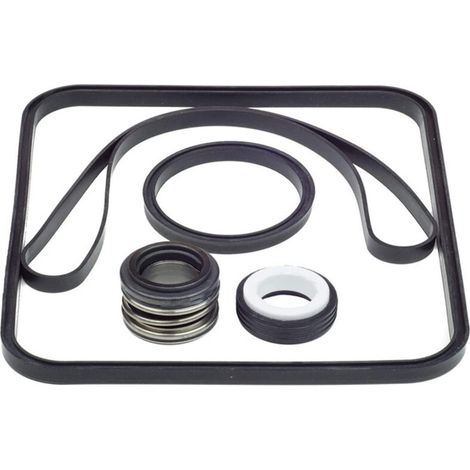 Kit de Joints d'Étanchéité en O-Ring pour Pompe Hayward SPX1600TRA – pour Corps et Diffuseur (1/4)