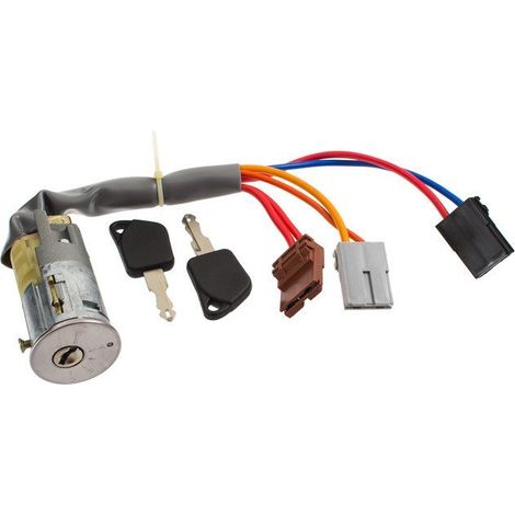 Interruptor de encendido Peugeot 306 de 6 pines (1/2)