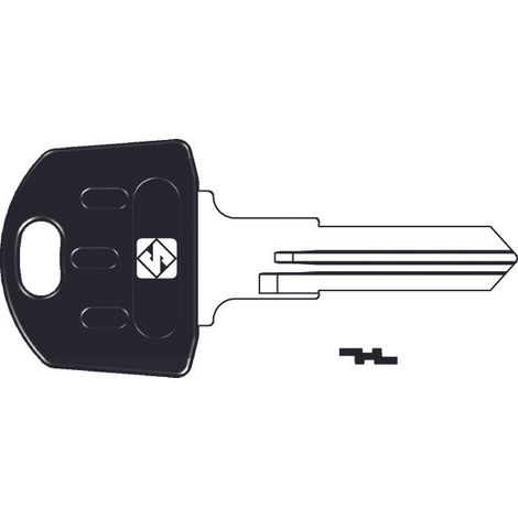 Chiavi per cilindri abus 5 spine piccole ab59rap - ab59rap sx