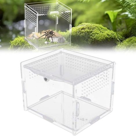 Terrario para reptiles e insectos, Tanque de cría transparente de 360 grados, Con orificios de ventilación, lagartos y ranas, 10x8x7cm (1/5)