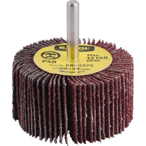 Disco abrasivo lamellare EXTOL su gambo, diametro 60 x 30 x 6 mm, P80 8803377