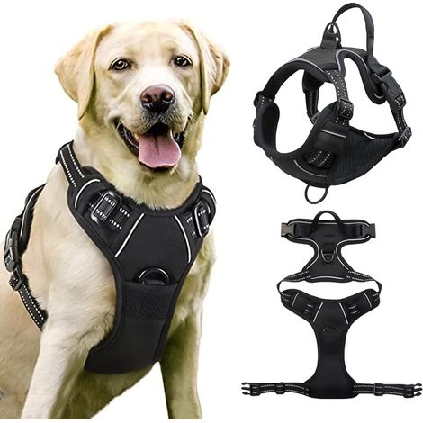 Harnais Anti Traction pour Chien Moyen et Grand - Réfléchissant, Réglable, Souple Avec Attache Devant - Large (1/5)