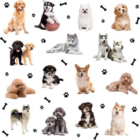 15 Styles Chiens Sticker Muraux 3D Autocollants pour Chiens de Compagnie Autocollants D'Impression de Patte D'Os Autocollants de Chiot Autocollants de Décoration Murale en Vinyle (1/5)