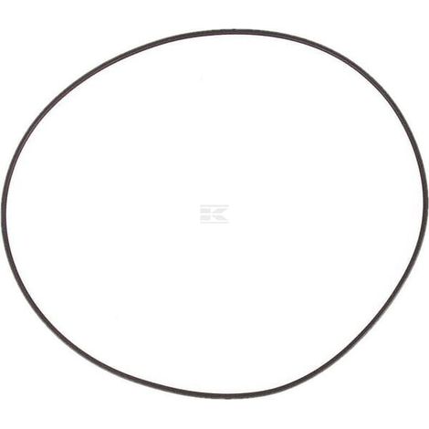Dichtung F03010696R MASCHIO F03010696R