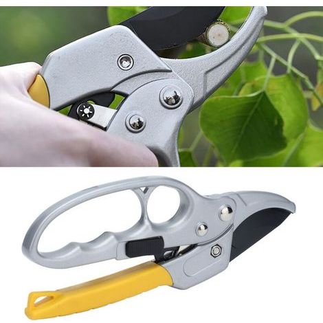 FENOPLASTICACiseaux de Jardinage Faciles à Utiliser pour Taille de Fruit et Arbustes - Lames en Acier SK-5 pour Pruning-KZQ (1/2)