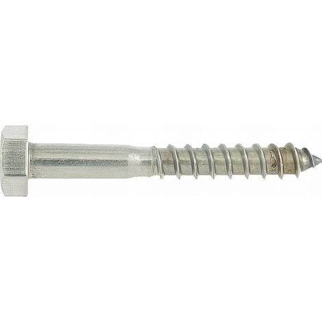 25 Vis Bois tête hexagonale DIN571 inox A2 - diamètre de 10 mm - Diamètre 10 mm