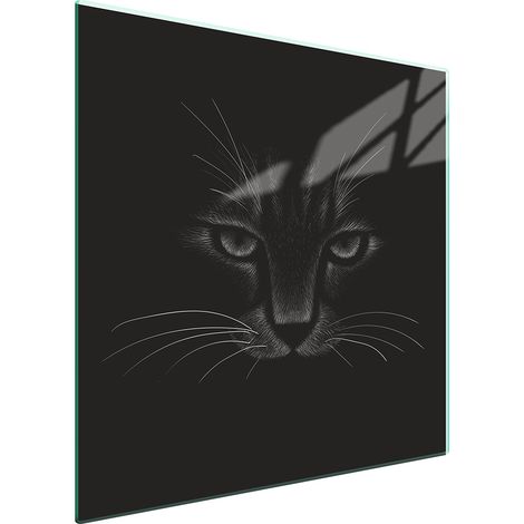 PLACA PROTECTORA DE VIDRIO PARA ESTUFA 50x52 CAT (1/5)