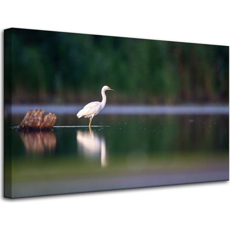 Lienzo impreso con la imagen de una garza blanca, de 80x50 cm.