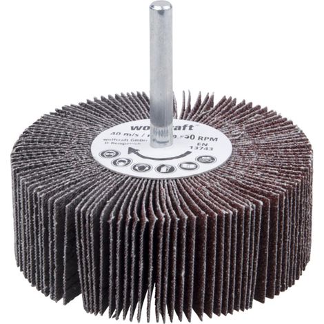 Brosse redresseur millefeuille gr60 ø80 x 30 mm (1/5)