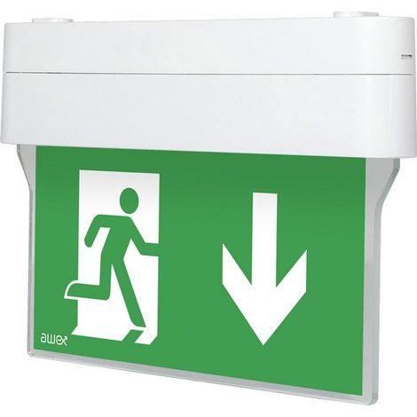 Luminaria de emergencia LED ARROW N de doble uso 1W 6000K 3h + PU31,PU41, blanca, IP40 (1/4)