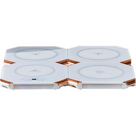 Assiette chauffante électrique 220V UE, température réglable, plateau pliable pour réchauffer les plats, idéal maison et camping (1/5)
