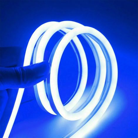 Striscia LED Neon Flex 5m IP65, Flessibile, Impermeabile, 12V, 600 LEDs Blu