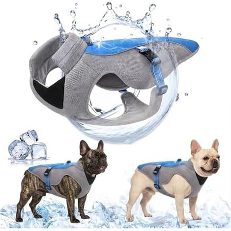 Gilet Refroidissant Chien Ameliore, Bandes Reflechissantes, Anti-Soleil, Petit, Moyen, Animal (1/5)