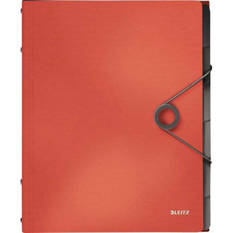 Leitz 4569-10-20 Cartellina con divisori Rosso chiaro DIN A4 Polipropilene Numero scomparti: 6 (1/5)