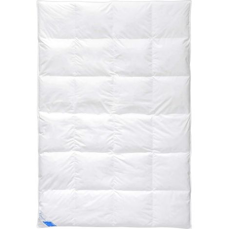 Böhmerwald 309601-20 Piumone con Cuscinetti Interni 4.0 cm, 155x220 cm (1/5)