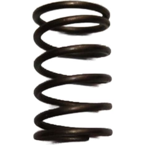 Muelle Valvulas compatible con Bc34  Ref 974773