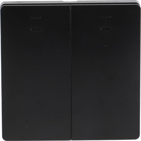 Interrupteur Connecté Wi-Fi 2 Voies Tactile Noir Smart Life Compatible Alexa Google Assistant Commande Vocale et Appli Maison (1/5)