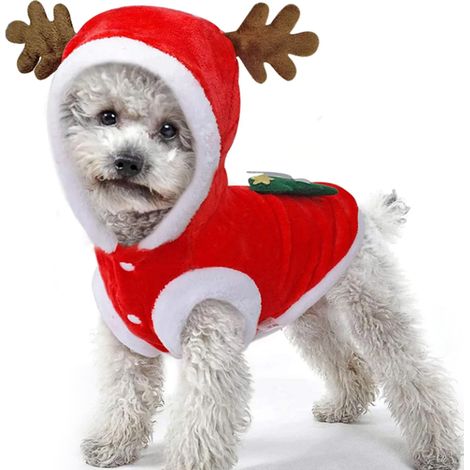 Costume de Noël pour chien et chat, adorable robe de métamorphose (1/5)