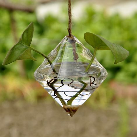 Vase hydroponique de bureau en verre transparent en forme de diamant, terrarium pour plantes de jardin, balcon ou bureau.
