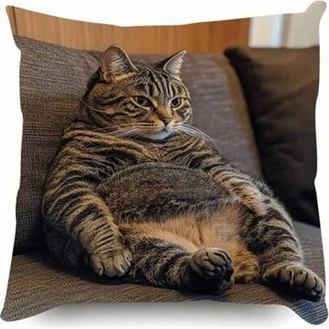 4pcs taies d'oreiller chat jouer avec le téléphone, Sweet Cat taies d'oreiller chambre canapé décoration, (pas d'oreiller) (1/4)