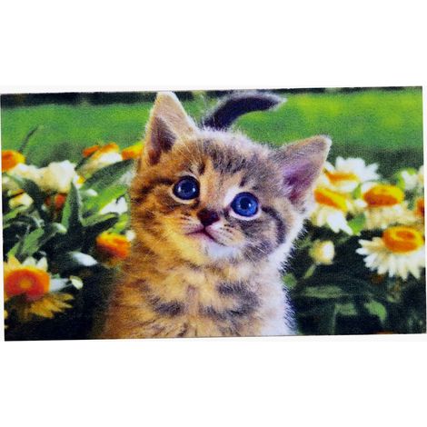 Tapis décoratif CHAT HDI
