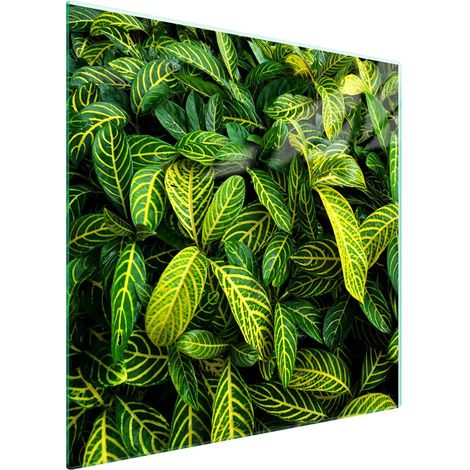 Piastra protettiva in vetro per piano cottura 50x52 Foglia (1/5)