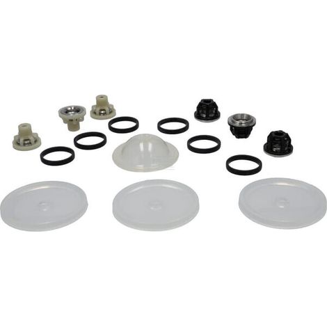 Kit ricambi pompa COMET 50260165 (1/2)