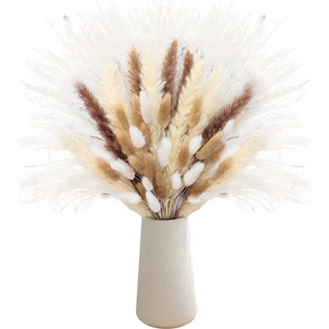 Bouquet de fleurs séchées CH-153 Blanc Roseau queue de lapin herbe véritable décoration intérieure salon aspect haut de gamme avec coffret (1/5)