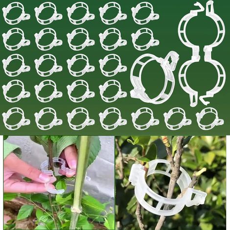 JSSEVN - Pack of 300 tomato clips for climbing plants - Plastic - For climbing plants (1/5)