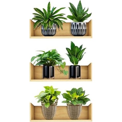 Autocollant mural 3D amovible en PVC Bonsaï Décoration murale créative Plantes Vertes Florales Arbre BonsaïStickers Muraux Plante Tropical Autocollants Décoration Murale pour Salon Chambre Cuisine (1/5)