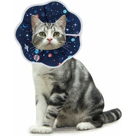 Beißhemmendes Katzenhalsband, verstellbarer Schutz, bequemes Halsband für Katzen und Welpen, Blau (S) (1/5)
