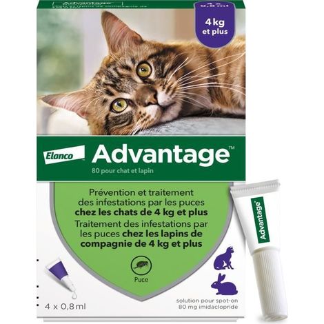 ADVANTAGE 80 - 4 pipettes antiparasitaires - Pour chat et lapin de 4kg et plus