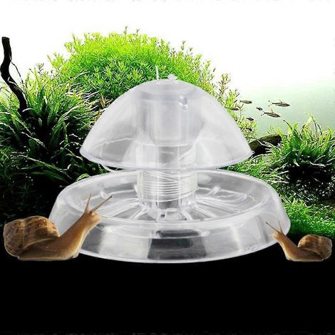 Piège à escargots en plastique, plante, boîte de capture pour sangsues planaires pour poissons d'aquarium (1/4)