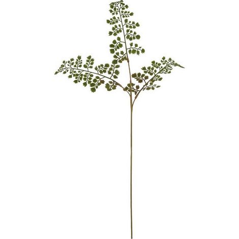 The Natural Garden Collection Maidenhair Fern (Single Stem Flower) - Plastic - Height 64 cm - Green
