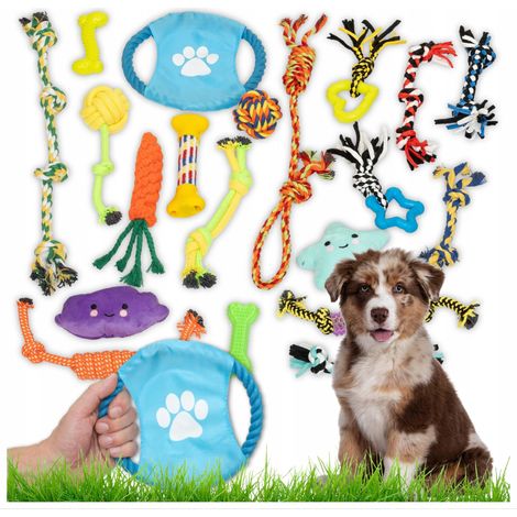 Hundespielzeug-Set 20 in 1: Zerrspiele, Bälle, Frisbees, Kauartikel, Apportierspielzeug, Aktivspielzeug