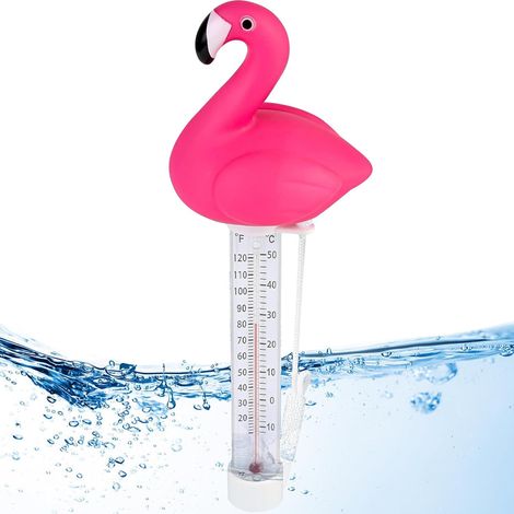 Thermomètre Numérique de Piscine Flottant (1/4)